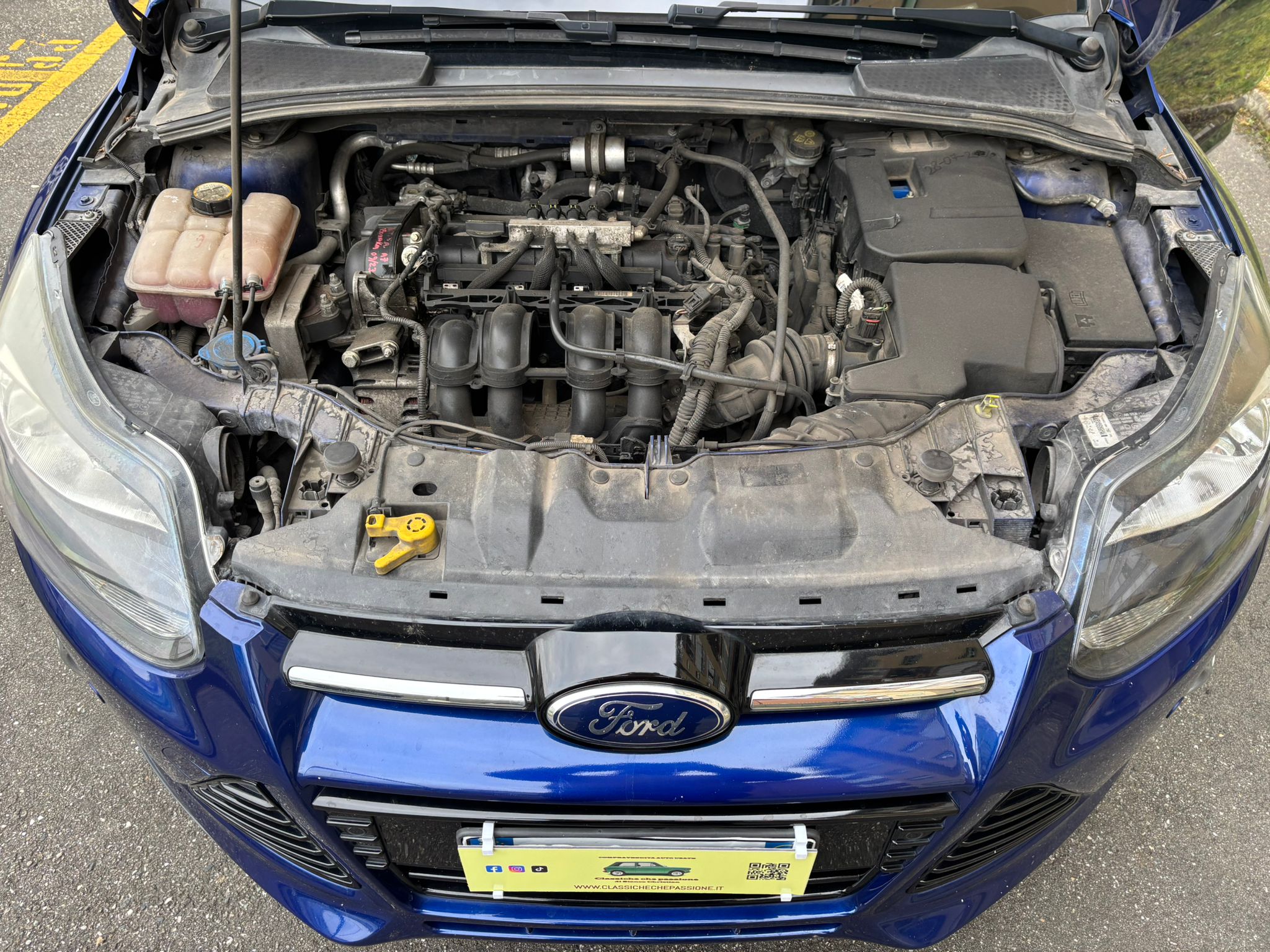 
								FORD FOCUS 1.6 GPL TITANIUM 2014 full									