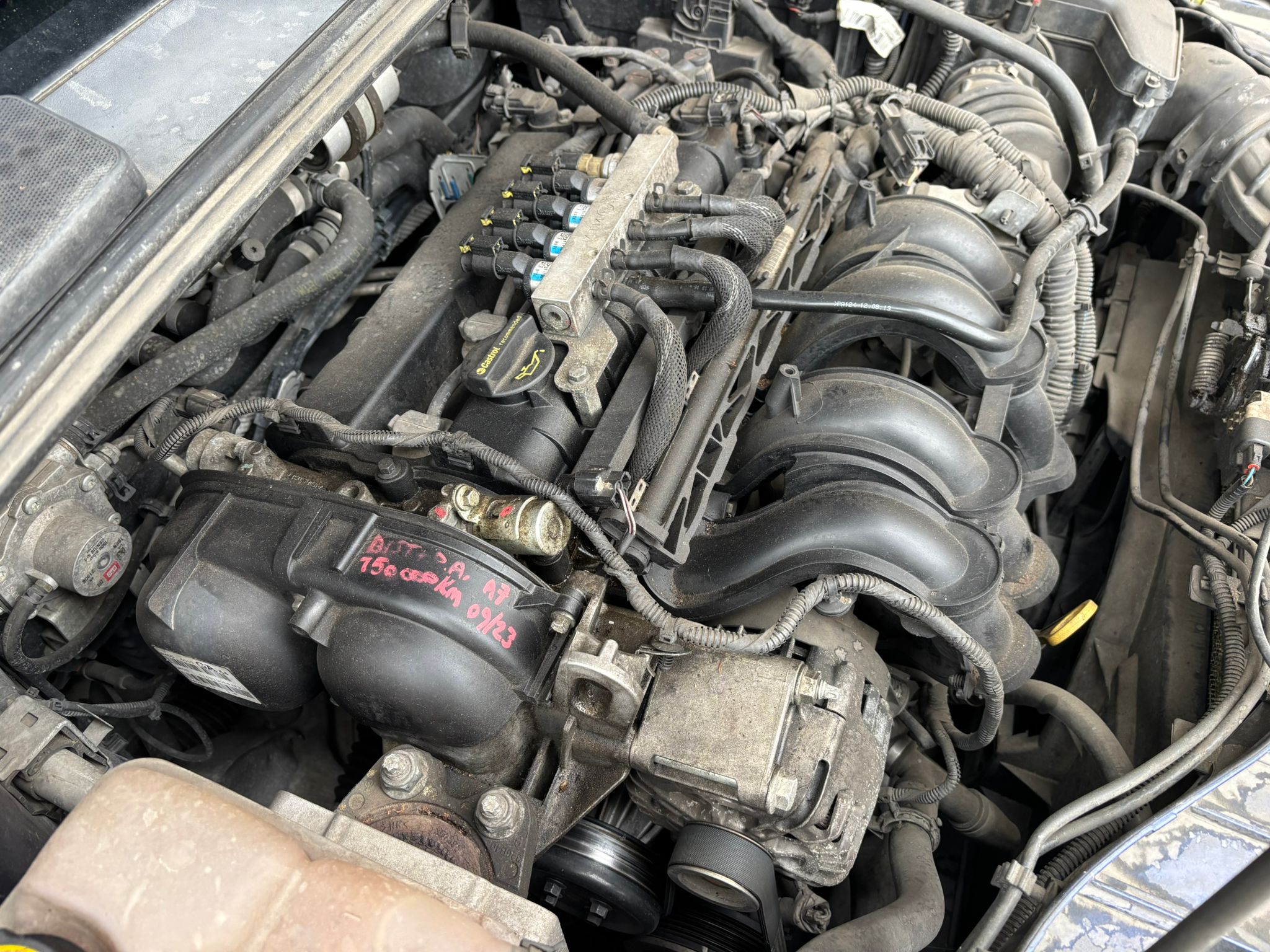 
								FORD FOCUS 1.6 GPL TITANIUM 2014 full									