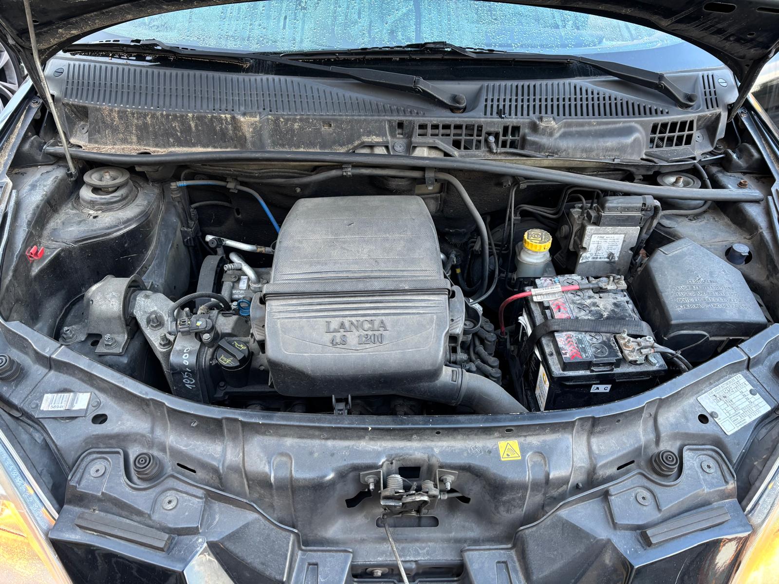 
								LANCIA YPSILON 1.2 PLATINO full									